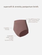 Noppies Lee Post Partum Briefs Deep Taupe - Image 4