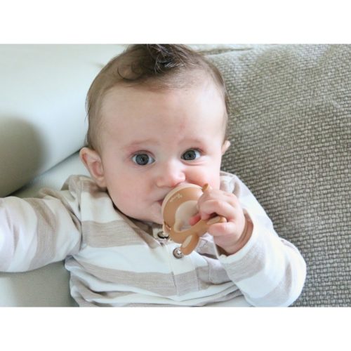 Foxy fæðunet 4-in-1 - Image 8